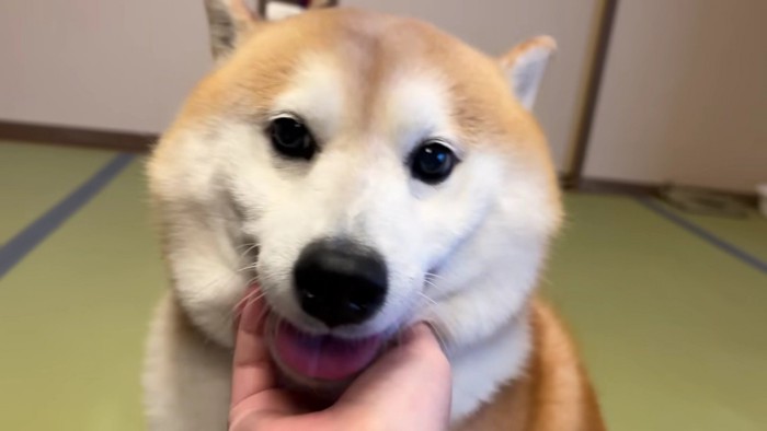 再会に歓喜♡