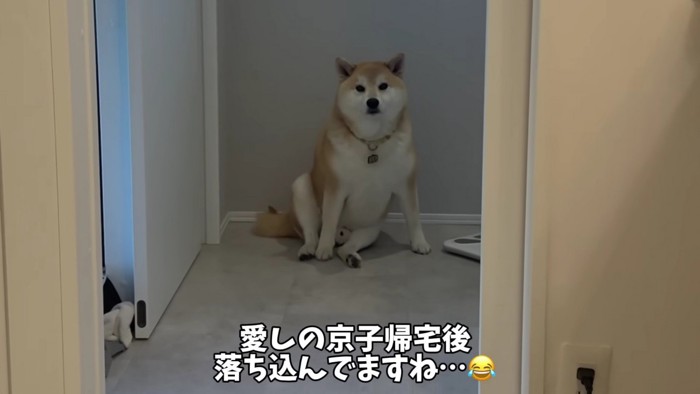 寂しそうな顔にもキュン