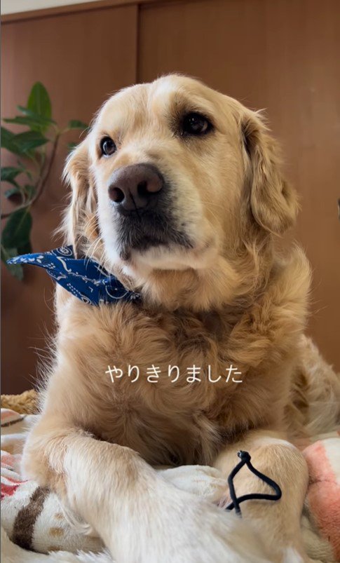 ゴムパッチンをして遊ぶアロンくん⑩