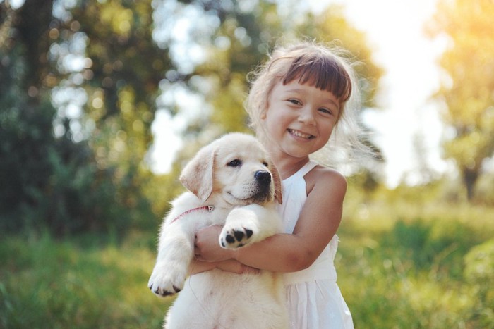 ゴールデンレトリバーの子犬を抱っこする笑顔の少女