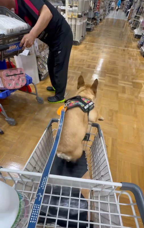 パパさんたちに追いついたら…