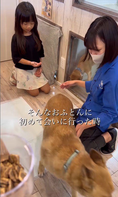 おふとん君の変化2