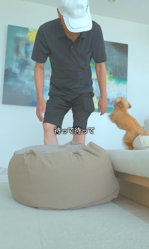 祖父母がお家に来た時のあのちゃん4