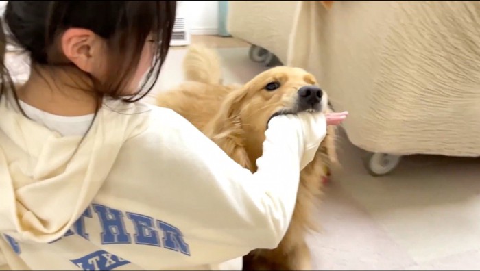 女の子の手を甘噛みする犬