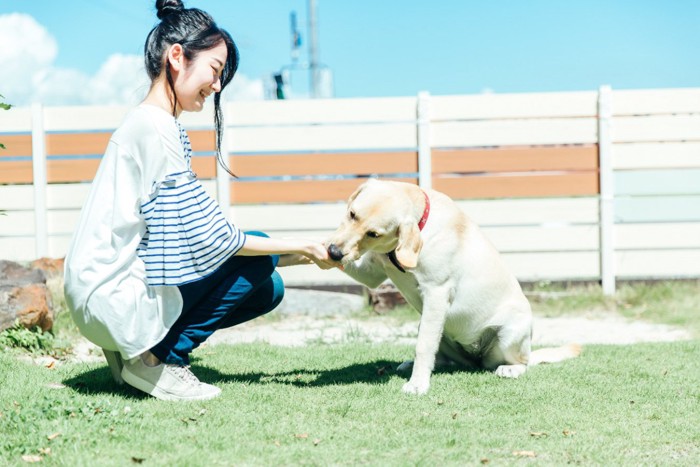 犬と遊ぶ女性