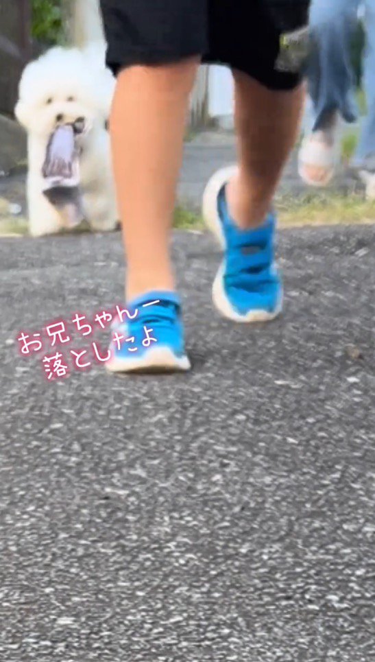 男の子に向かって駆けていく犬