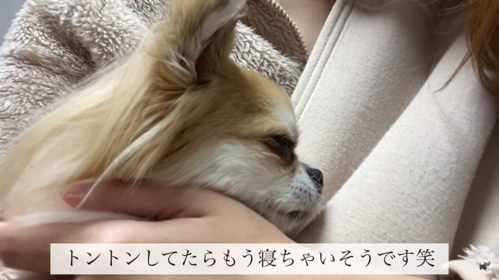 眠りそうなアールちゃん