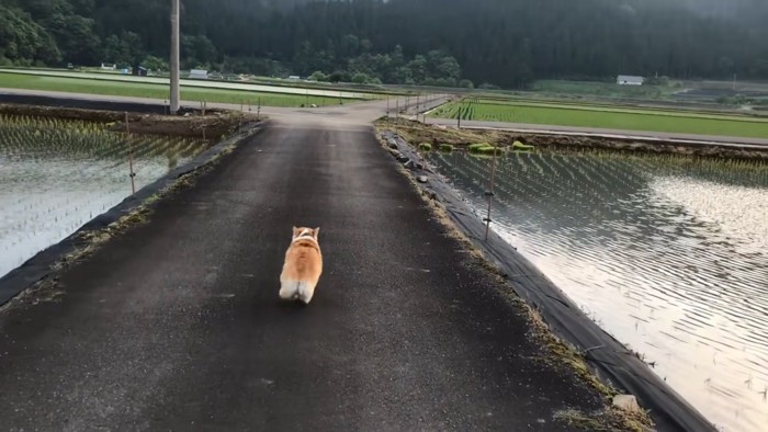 ちょっと歩いて…