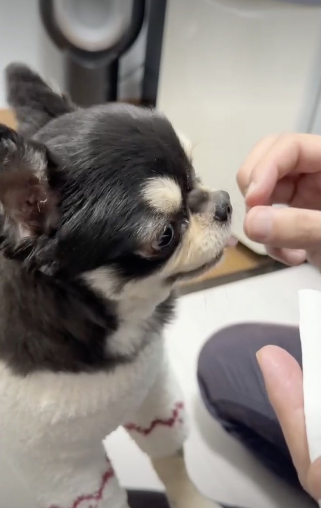 警戒心、ゼロ。