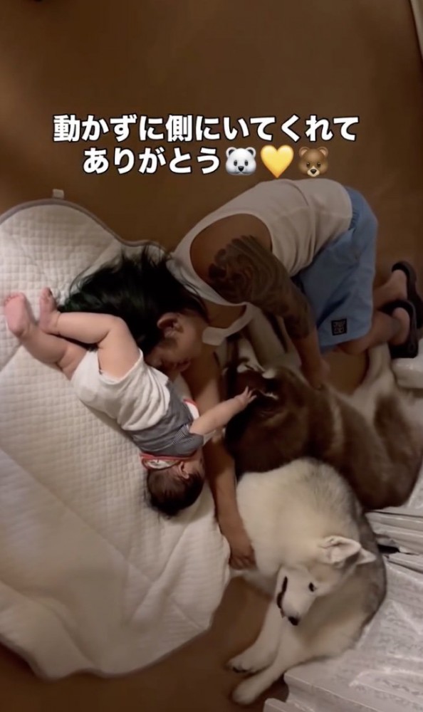 幸せすぎる日常