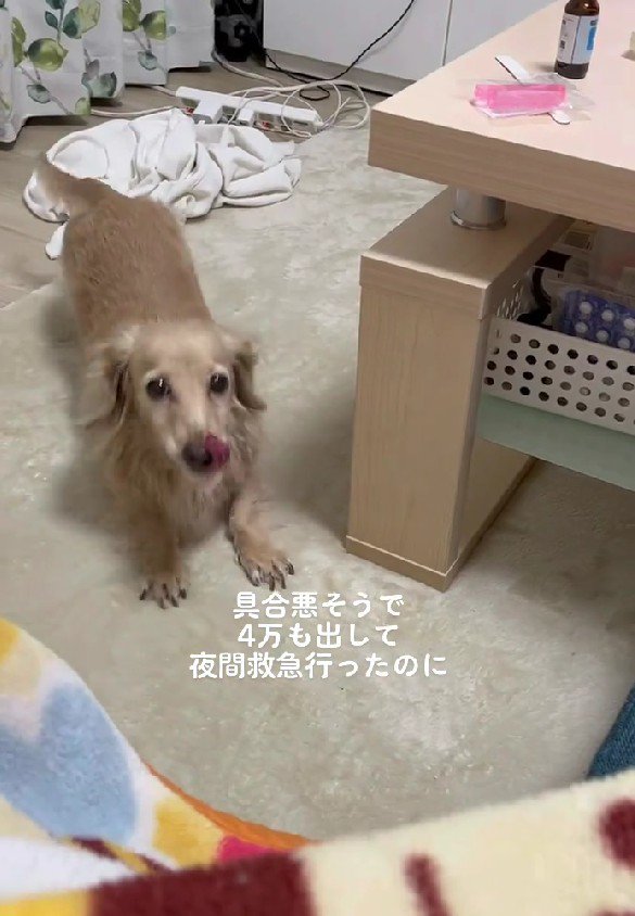 何度も体を伸ばして…