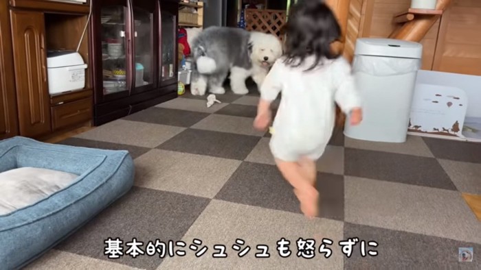 むぅむぅくんの元へいくろのちゃん