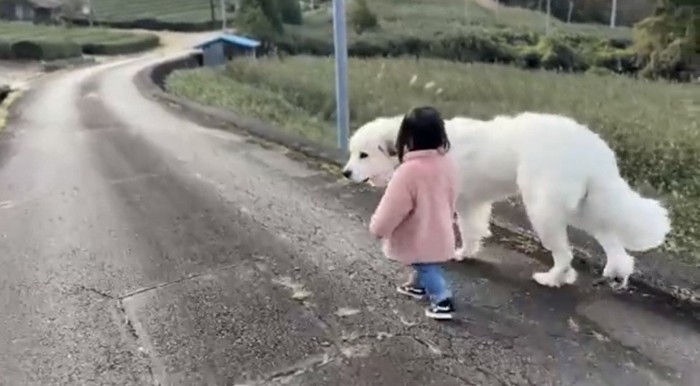 並んで歩く犬と子ども