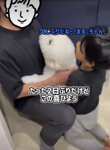撫でられる犬