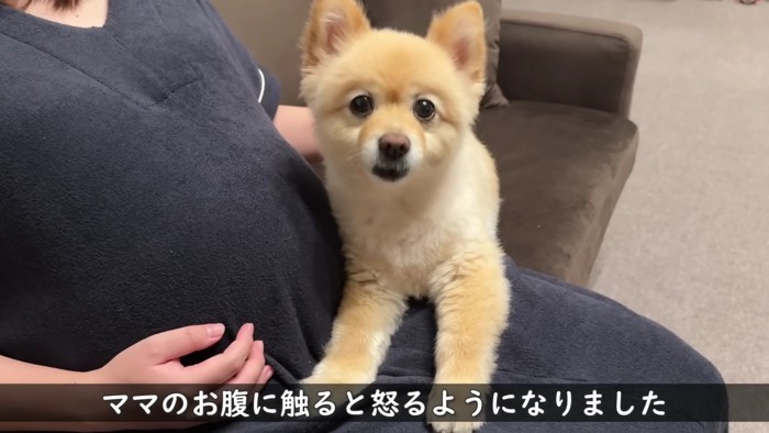 お腹の中の赤ちゃんに気が付いてる！？