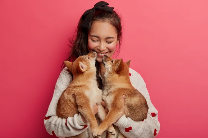 女性の口の匂いを嗅ぐ子犬たち