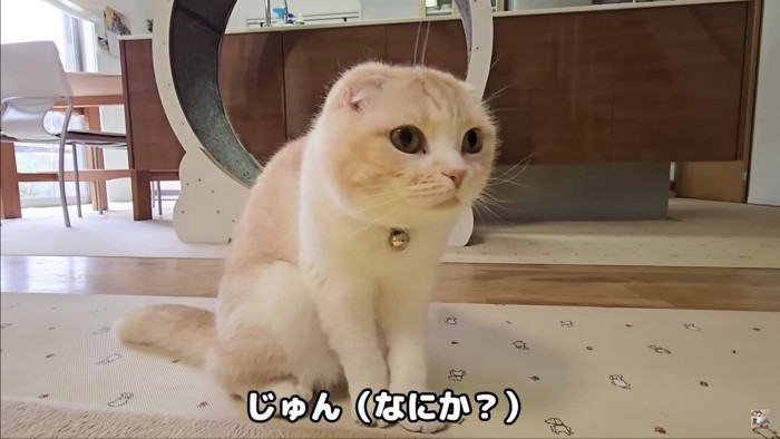 「なにか…？」