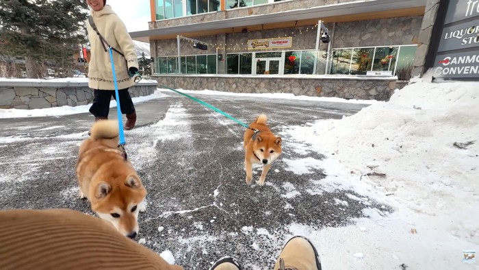 確信した瞬間に大喜び！
