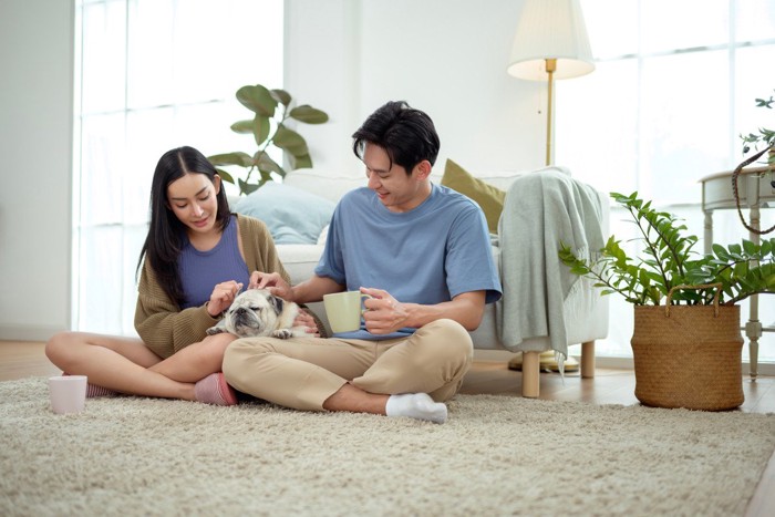 夫婦と犬