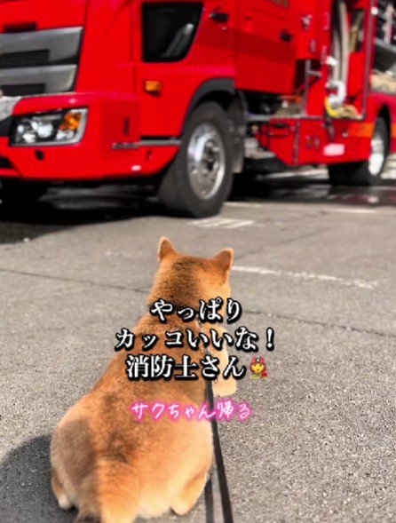 「やっぱり素敵だな…」