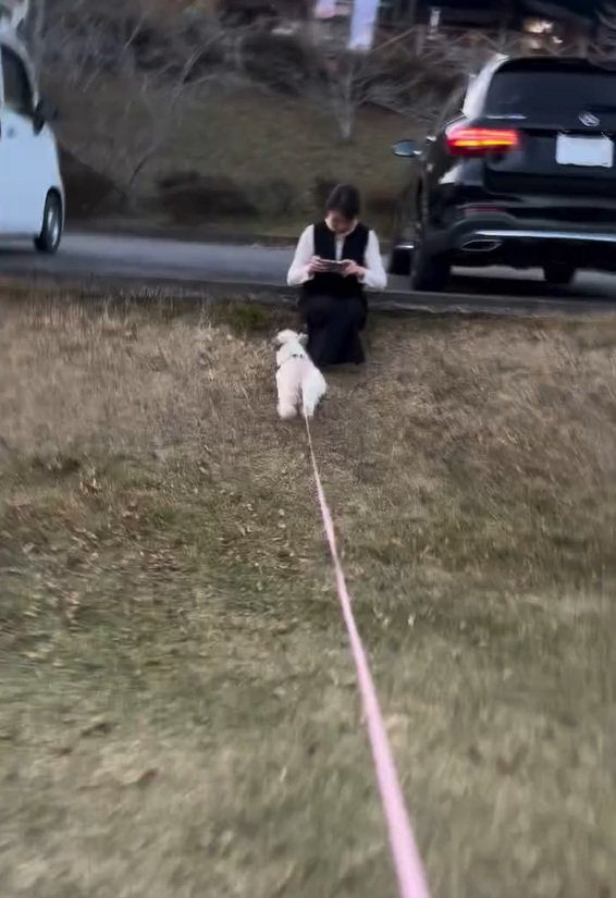 爆走のピコちゃん