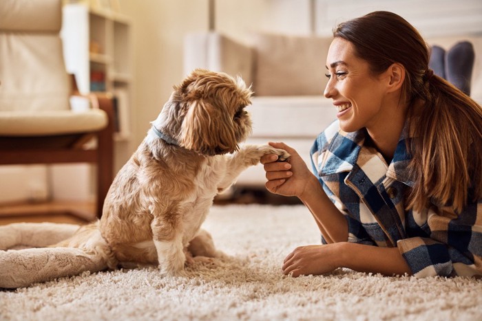 見つめ合う犬と女性