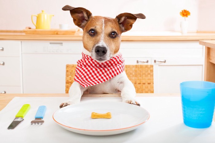 食卓について食事を待つ犬