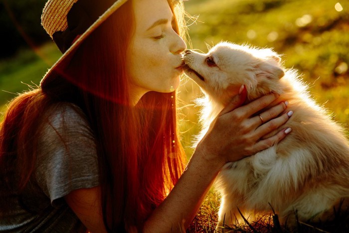 キスをする人と犬