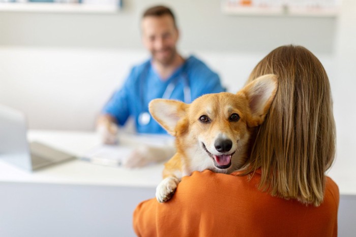 動物病院で飼い主に抱っこされている犬