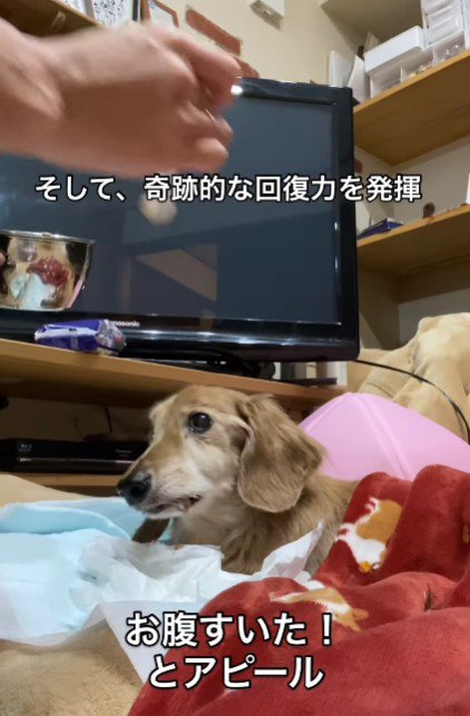 流動食を口にした！