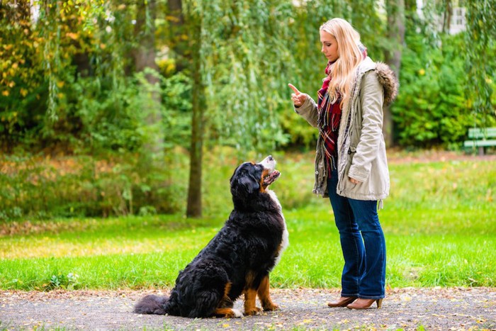 お座りする犬と指示する女性