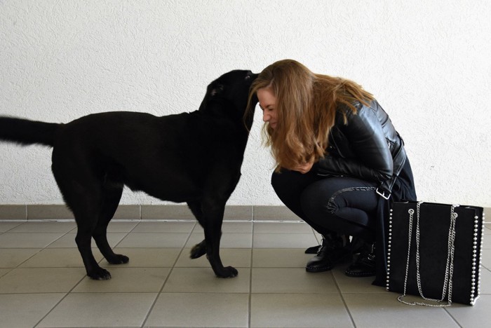 女性の髪を噛む犬