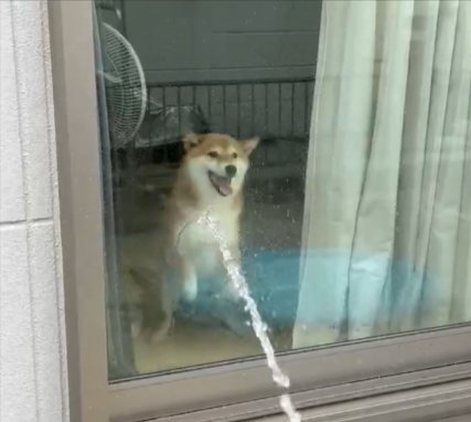 ホース