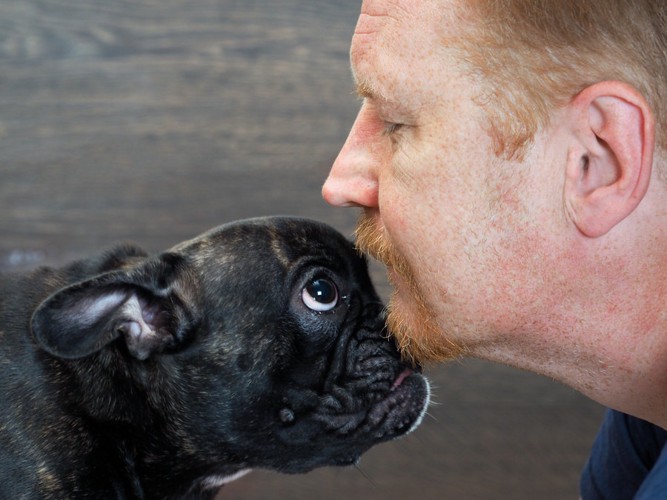 鼻をチョンチョンする犬