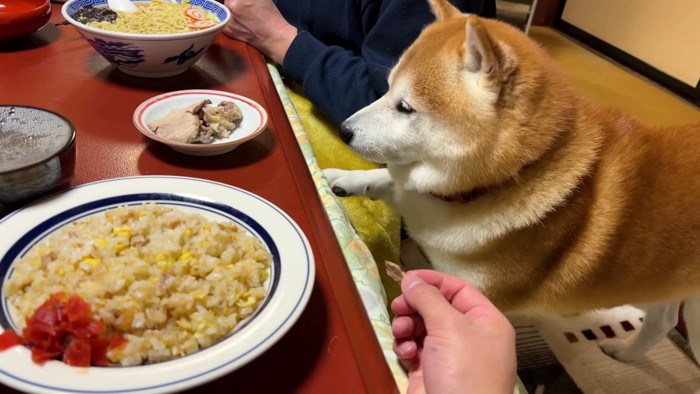 「これだよ」