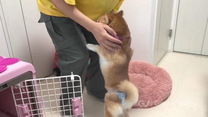 会えてよかったね♪
