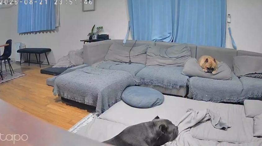 レティちゃんとの思い出