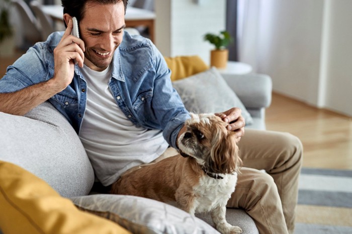 電話しながら犬に触れる男性