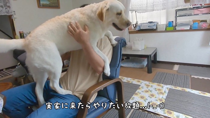 「わたしも抱っこして！」