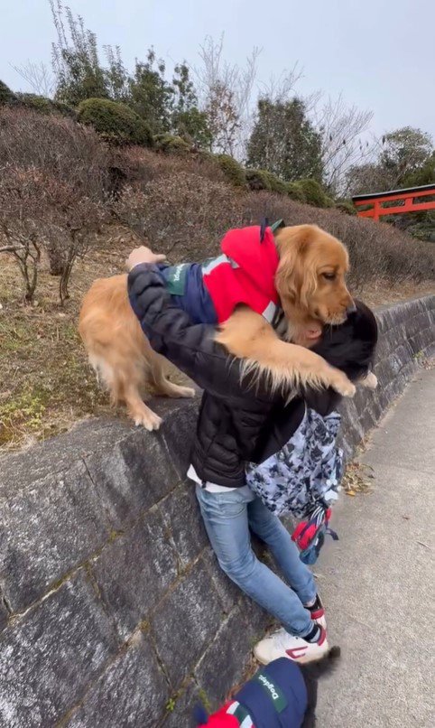 高いところに登りたがる空くん7