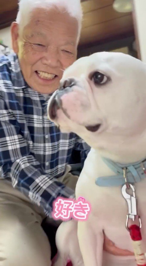 犬に話しかける男性