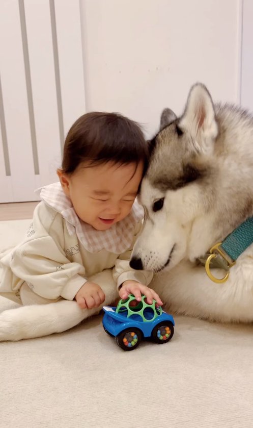 おでこをくっつけている子供と犬