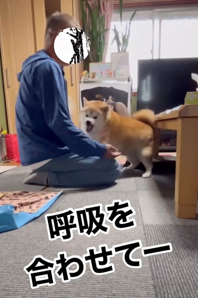 犬の動きに合わせる人