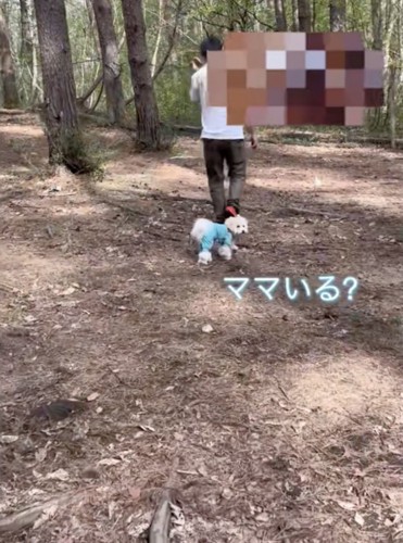 「ついてきてね!?」