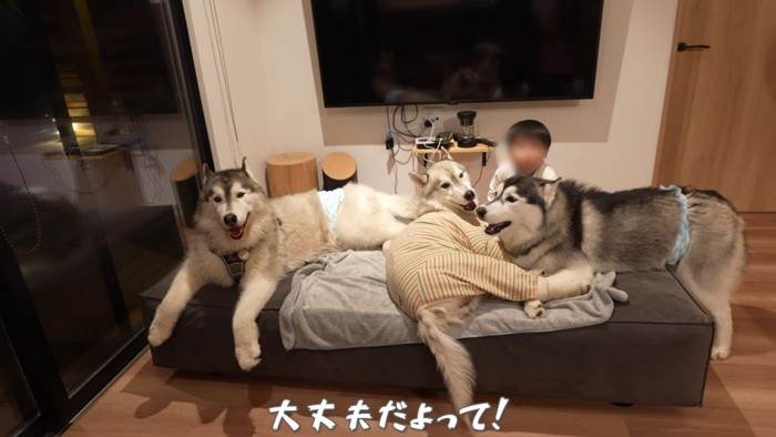 「落ち着いてね」