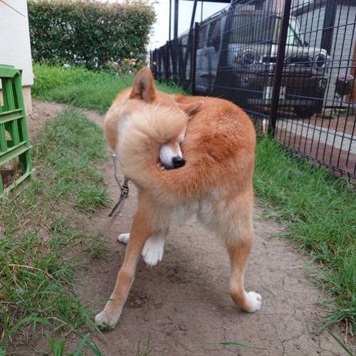謎の