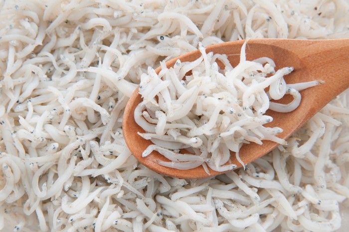 しらすをスプーンですくっている様子