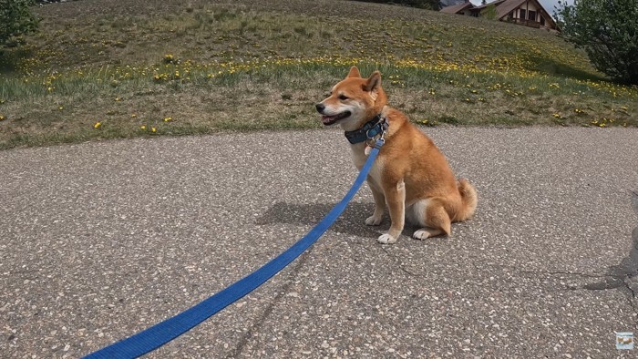 「ちょっと休憩したいな~」