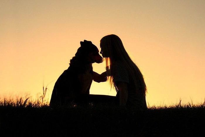 犬と女性のシルエット