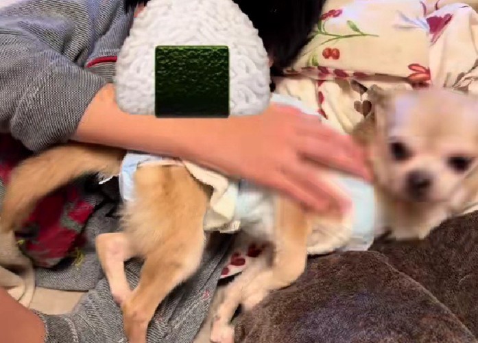 コミュニケーションもとれるように…